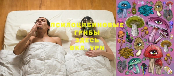 не бодяженный Гусев