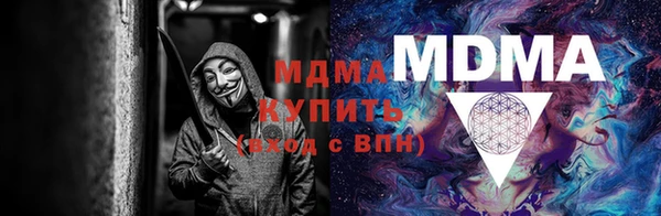ГАЛЛЮЦИНОГЕННЫЕ ГРИБЫ Гусь-Хрустальный