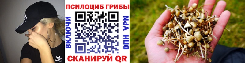 Псилоцибиновые грибы прущие грибы  Стерлитамак 